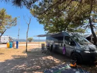 Gebraucht Fiat Ducato 160 PS (117 kW) 2008 Grau Van