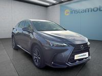 Gebraucht Lexus NX350h 243 PS (178 kW) 2024 Grau SUV