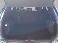 Gebraucht Ford Kuga ST-Line X 150 PS (110 kW) 2023 Chrome blue metallic SUV