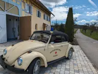 Gebraucht VW Käfer 39 PS (28 kW) 1968 Cabrio