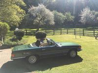 Gebraucht Mercedes SL350 1972 Grün Cabrio