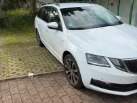 Gebraucht Skoda Octavia 116 PS (85 kW) 2017 Weiß Kombi