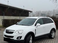 Gebraucht Opel Antara Cosmo 170 PS (125 kW) 2016 Weiß SUV