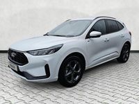 Neu Ford Kuga ST-Line 186 PS (136 kW) 2026 Frozenwhite SUV