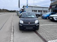 Neu Fiat Panda 65 PS (47 kW) 2026 Schwarz Kleinwagen