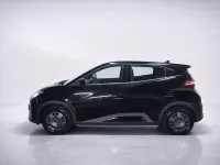 Neu BYD Dolphin Surf Active 64 kW (88 PS) 2025 Schwarz Kleinwagen