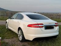 Gebraucht Jaguar XF 200 PS (147 kW) 2011 Weiß Limousine