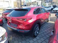 Gebraucht Mazda CX-30 122 PS (89 kW) 2019 Rot SUV