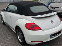 Usata VW Beetle Cabriolet 105 CV (77 kW) 2015 Bianco Cabrio