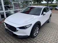 Gebraucht Mazda CX-30 Selection 150 PS (110 kW) 2021 Weiß SUV