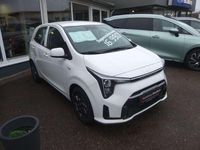 Neu Kia Picanto Vision 63 PS (46 kW) 2025 Weiß Kleinwagen