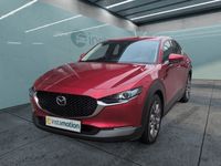 Gebraucht Mazda CX-30 Selection 179 PS (131 kW) 2020 Rot SUV