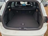 Neu Ford Focus ST-Line X 155 PS (114 kW) 2025 Weiß Limousine