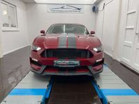 gebraucht Ford Mustang 2.3 Eco Shelby GT350/Navi/Carply/LED/R18