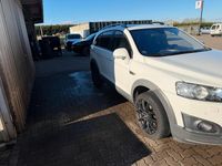 Gebraucht Chevrolet Captiva 184 PS (135 kW) 2014 Weiß SUV
