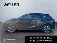 Gebraucht Lexus UX 184 PS (135 kW) 2023 Andere SUV