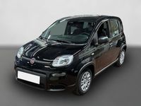 Gebraucht Fiat Panda 69 PS (50 kW) 2024 Schwarz Kleinwagen