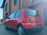 Gebraucht VW Lupo 50 PS (36 kW) 1999 Rot Kleinwagen