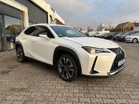 Gebraucht Lexus UX 250h 184 PS (135 kW) 2022 Sonic white SUV