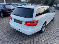 Gebraucht Mercedes E220 170 PS (125 kW) 2010 Weiß Kombi