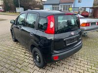 gebraucht Fiat Panda Panda