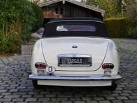 Gebraucht BMW 503 140 PS (102 kW) 1957 Weiß Cabrio