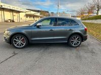 gebraucht Audi SQ5 Competition Individual AHK,PANO,B&O