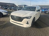 Neu Mazda CX-80 Homura-Line 328 PS (241 kW) 2025 Weiß SUV