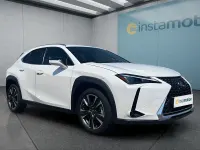 Gebraucht Lexus UX 250h Executive Line 184 PS (135 kW) 2023 Weiß SUV