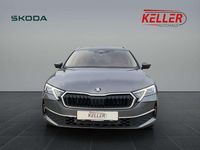 Gebraucht Skoda Octavia 150 PS (110 kW) 2026 Graphitegrau metallic Kombi