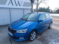 Gebraucht Skoda Fabia Cool Plus 75 PS (55 kW) 2019 Blau Kleinwagen