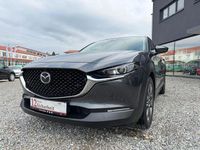Gebraucht Mazda CX-30 Selection 179 PS (131 kW) 2019 Grau SUV