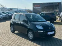 Neu Fiat Panda Icon 69 PS (50 kW) 2026 Kleinwagen