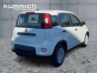 Gebraucht Fiat Panda 69 PS (50 kW) 2024 Gelato weiß (weiß) Kleinwagen