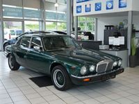Gebraucht Jaguar XJ Sovereign 205 PS (150 kW) 1981 Grün Limousine