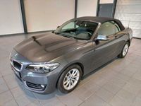 gebraucht BMW 218 2er - i Advantage (EURO 6d)(OPF)