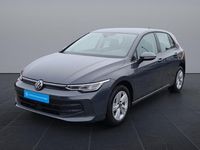 Gebraucht VW Golf VIII Life 116 PS (85 kW) 2024 Delfingrau metallic Limousine