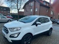 Gebraucht Ford Ecosport 125 PS (91 kW) 2018 Weiß SUV
