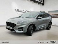 Gebraucht Ford Kuga ST-Line X 150 PS (110 kW) 2023 Solarsilber (metallic) SUV