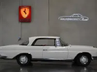 Gebraucht Mercedes 250 SE 150 PS (110 kW) 1966 Weiß Coupé