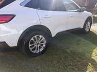 Gebraucht Ford Kuga Titanium X 150 PS (110 kW) 2021 Weiß SUV