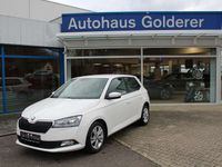 gebraucht Skoda Fabia 1.0 TSI Ambition+SHZ+NS+LED+PDC.+LMF+Smartlink