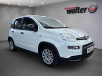 Gebraucht Fiat Panda 69 PS (50 kW) 2024 Weiß Kleinwagen