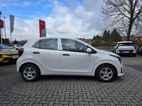 Neu Kia Picanto 68 PS (50 kW) 2026 Clear white Kleinwagen