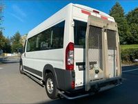 gebraucht Fiat Ducato Transporter / Bus mit Rampe/Lift 9 Sitzer Behinderten