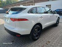 Gebraucht Jaguar F-Pace Pure 179 PS (131 kW) 2016 Weiß SUV