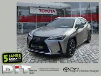 Gebraucht Lexus UX 250h 184 PS (135 kW) 2023 Silber SUV