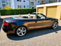 Używany Audi A5 Cabriolet 245 KM (180 kW) 2009 Brązowy Kabriolet