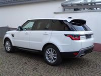 Gebraucht Land Rover Range Rover Sport SE 249 PS (183 kW) 2019 Weiß SUV