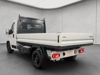 Neu Opel Movano 140 PS (102 kW) 2026 Weiß Van